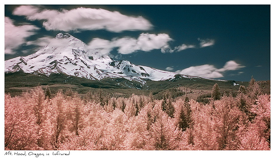Click to purchase: Mt. Hood Infrared